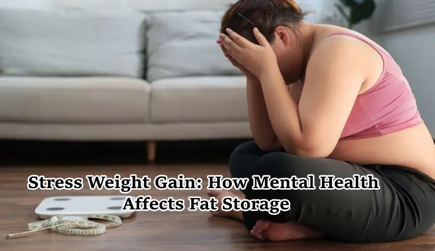 Stress Weight Gain How Mental Health Affects Fat Storage